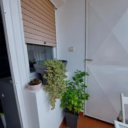 Center Danube Street 诺威萨