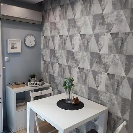 Center Danube Street 公寓